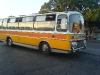 bus3.jpg