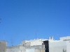 roof.jpg