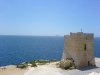 tower.jpg
