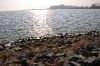 DSC_0006.JPG