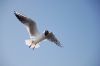 DSC_0057-1.JPG
