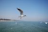 DSC_0061-1.JPG
