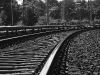 imgp2839-kopie.jpg